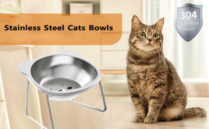 Elevated Stainless Steel Bowl